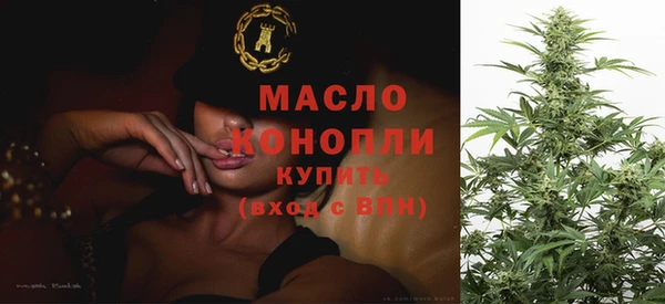 гашик Каменка