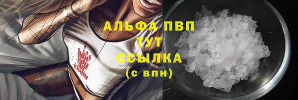 гашик Каменка