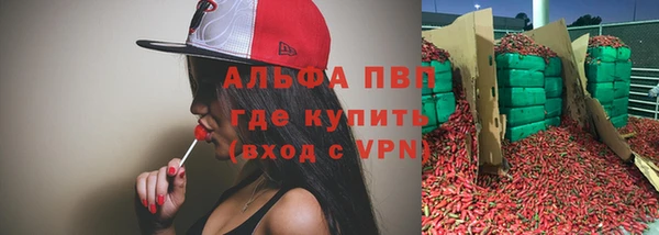 молекула духа Каменск-Шахтинский