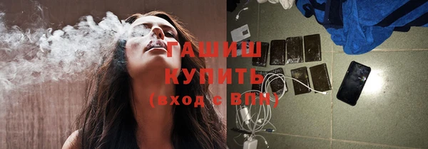 гашик Каменка