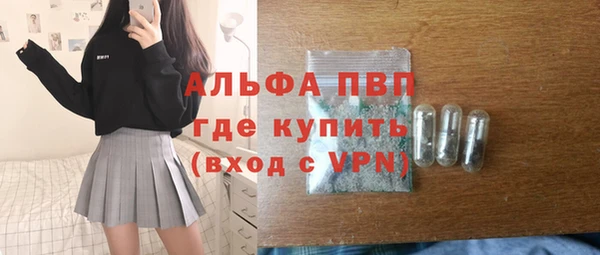 гашик Каменка