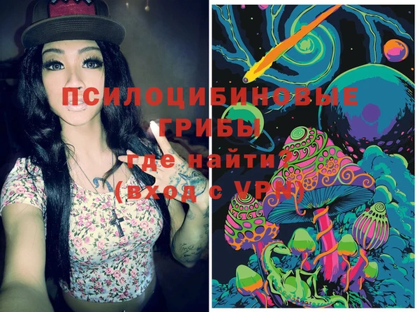 молекула духа Каменск-Шахтинский