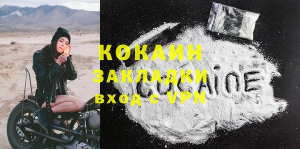 гашик Каменка
