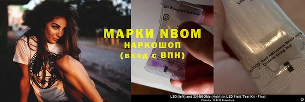 молекула духа Каменск-Шахтинский