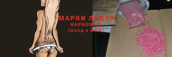 молекула духа Каменск-Шахтинский