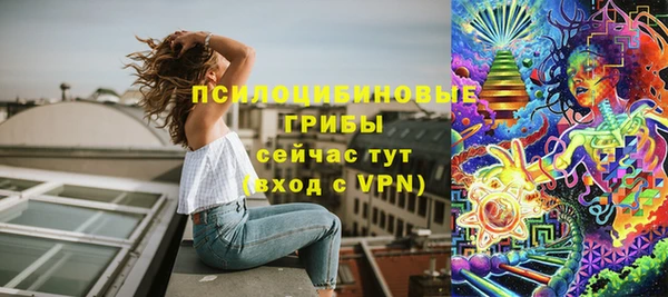 каннабис Каменногорск