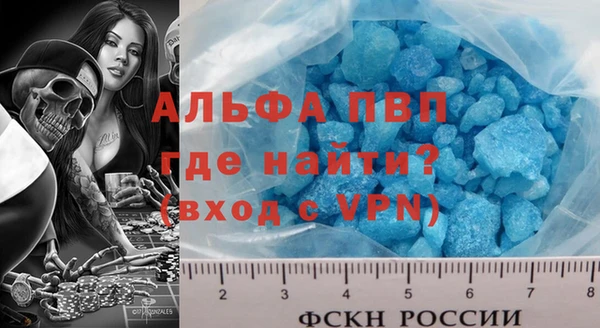 гашик Каменка