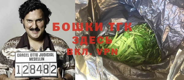 молекула духа Каменск-Шахтинский