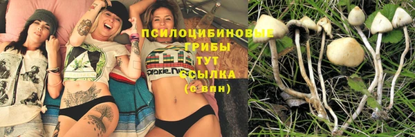 гашик Каменка