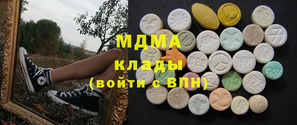 гашик Каменка