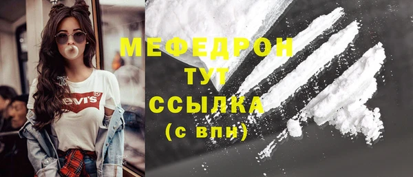гашик Каменка