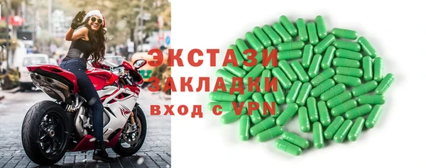 гашик Каменка