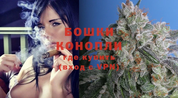 гашик Каменка