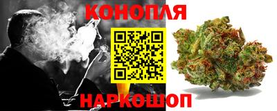 стафф Новокубанск