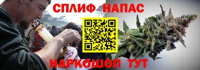 амф Новодвинск