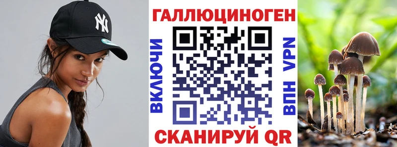 kraken онион  цена наркотик  Ульяновск  Галлюциногенные грибы Cubensis 